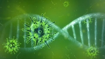 Mexicaanse of Spaanse griepvirus: welk scenario volgt het Coronavirus? (Deel 1)