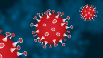 Mexicaanse of Spaanse griepvirus: welk scenario volgt het Coronavirus? (Deel 2)