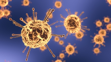 Mexicaanse of Spaanse griepvirus: welk scenario volgt het Coronavirus? (Deel 3)
