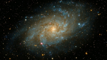 Gebrek aan nieuwsgierigheid verarmt wereld en beschaving