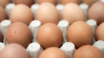 Opinie: NOS Journaal van 2 augustus 2017