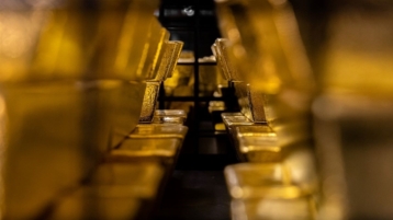 Voer de goudstandaard weer in