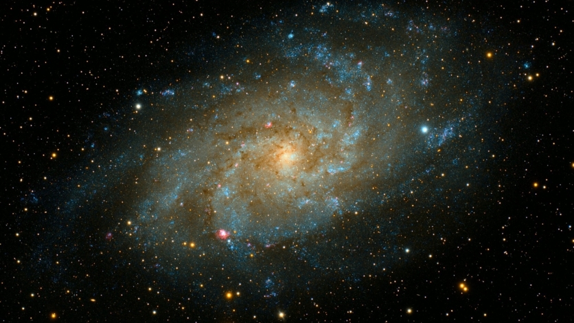 Gebrek aan nieuwsgierigheid verarmt wereld en beschaving